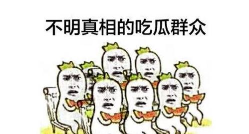 娱乐评论大赏吃瓜群众,吃瓜群众热议焦点大盘点